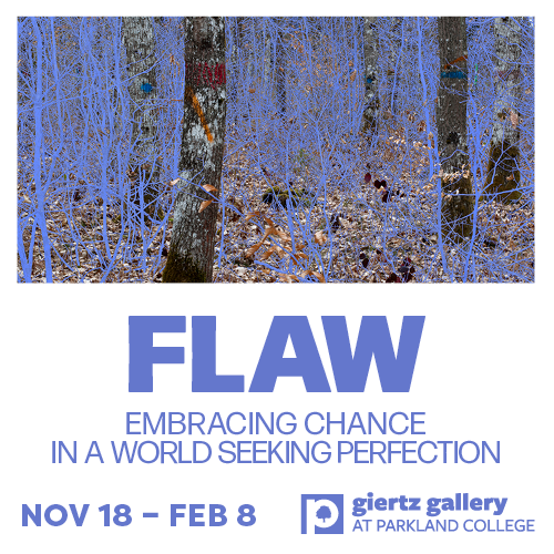 Flaw in the Giertz Gallery until February 8