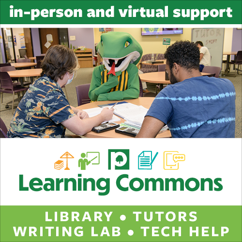 Visit the Learning Commons for library, tutoring, writing lab, and tech help.